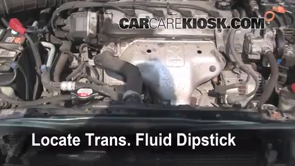 Transmission Fluid Level Check Honda Accord (1998-2002) - 2000 Honda